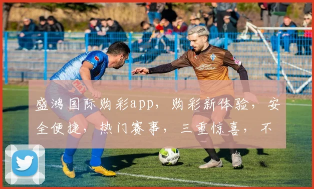 盛鸿国际购彩app，购彩新体验，安全便捷，热门赛事，三重惊喜，不容错过