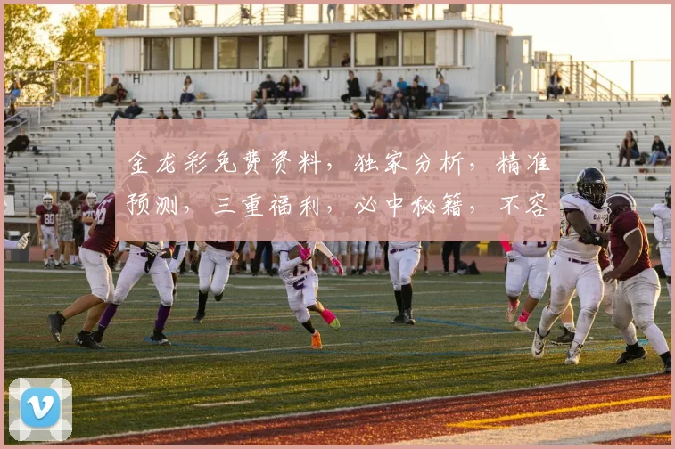 金龙彩免费资料，独家分析，精准预测，三重福利，必中秘籍，不容错过