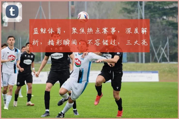 蓝鲸体育，聚焦热点赛事，深度解析，精彩瞬间，不容错过，三大亮点，尽在蓝鲸