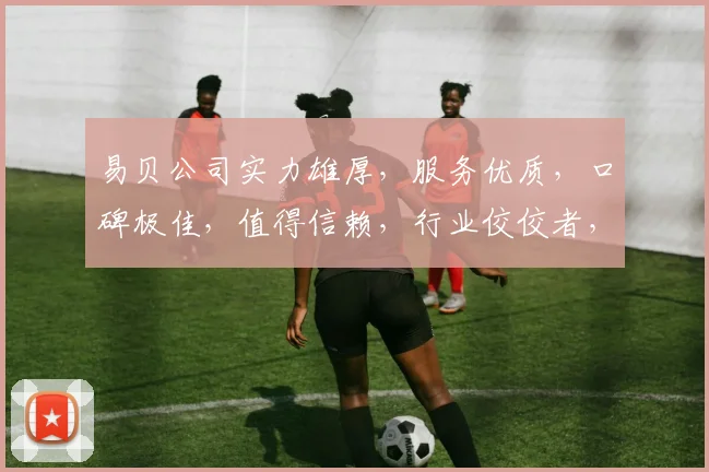 易贝公司实力雄厚，服务优质，口碑极佳，值得信赖，行业佼佼者，值得选择。